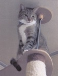 s_IMG_niko.jpg