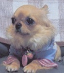s_IMG yukicyann.jpg