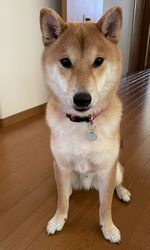 Rまろ.jpg