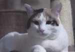s_IMG_0001_mau.jpg