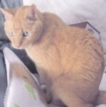 s_IMG_miki-.jpg