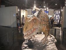 CIMG6226230.jpg