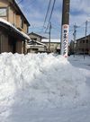 2018 ooyuki.jpg