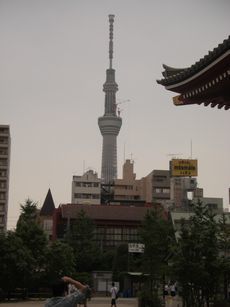CIMG4481230.jpg